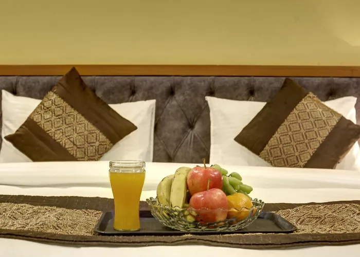 Hotel Tms Grand New Delhi