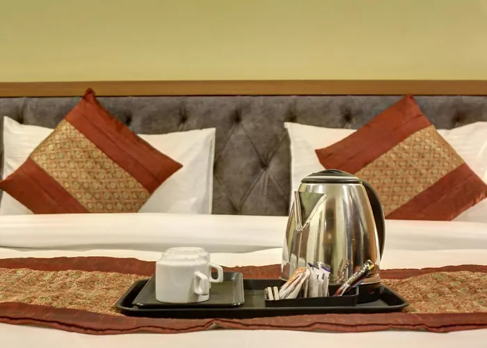 Hotel Tms Grand New Delhi